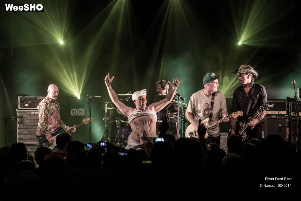 9/41 photos du spectacle Elmer Food Beat