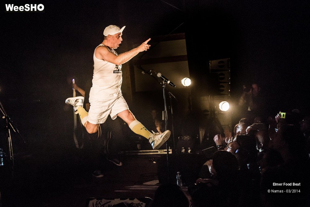 10/41 photos du spectacle Elmer Food Beat