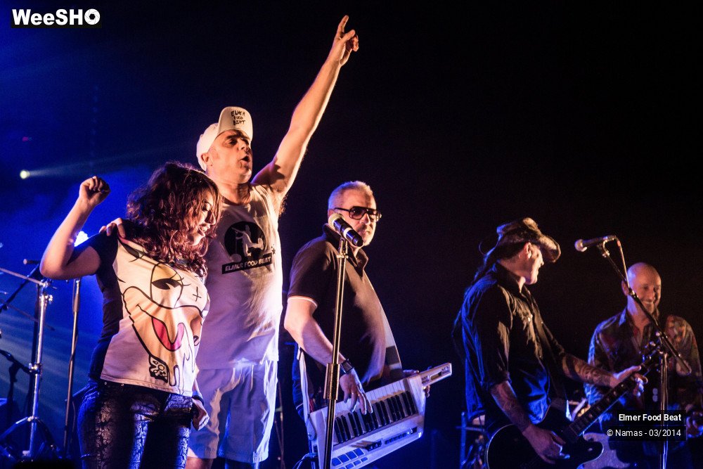 11/41 photos du spectacle Elmer Food Beat