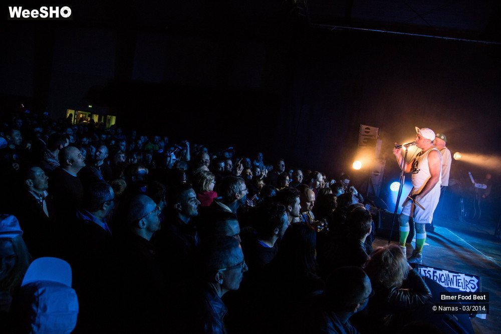 12/41 photos du spectacle Elmer Food Beat