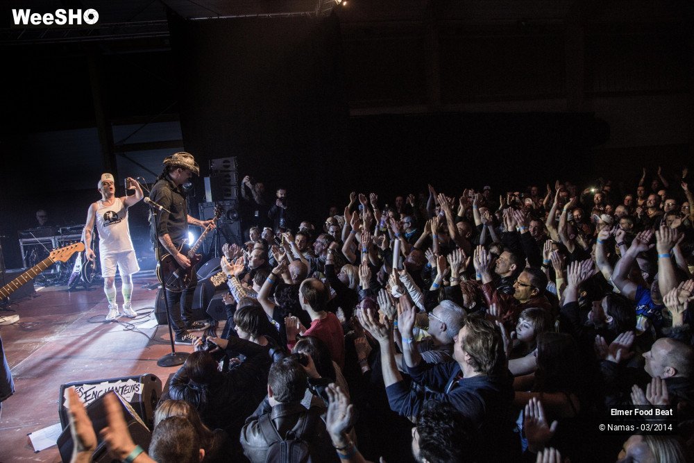 14/41 photos du spectacle Elmer Food Beat
