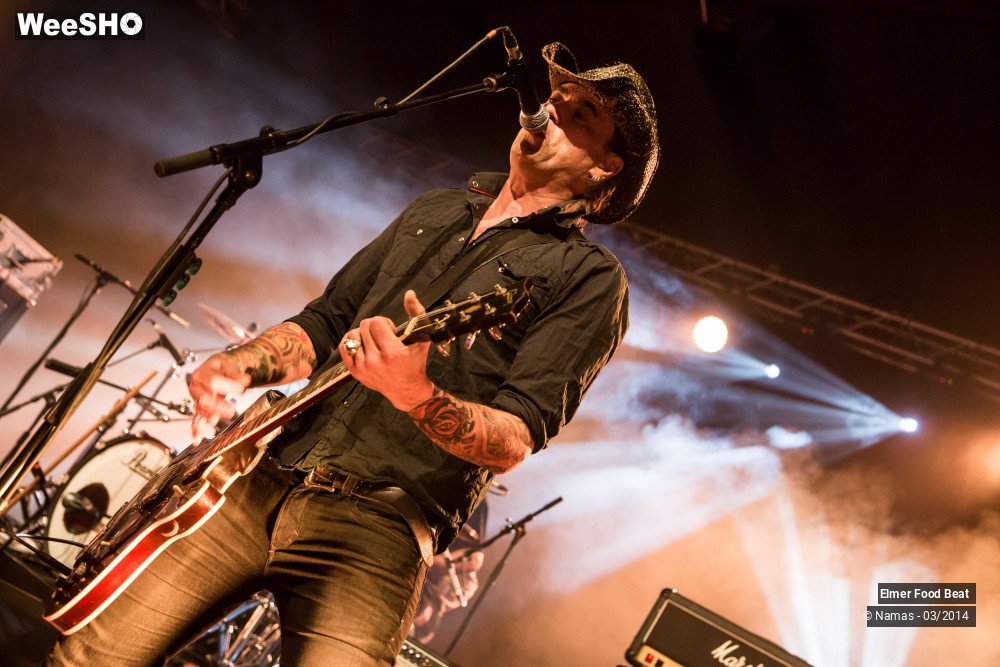 17/41 photos du spectacle Elmer Food Beat