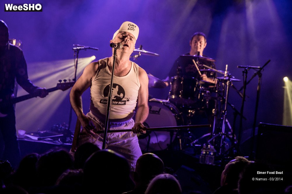 18/41 photos du spectacle Elmer Food Beat