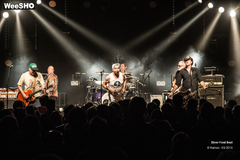 19/41 photos du spectacle Elmer Food Beat