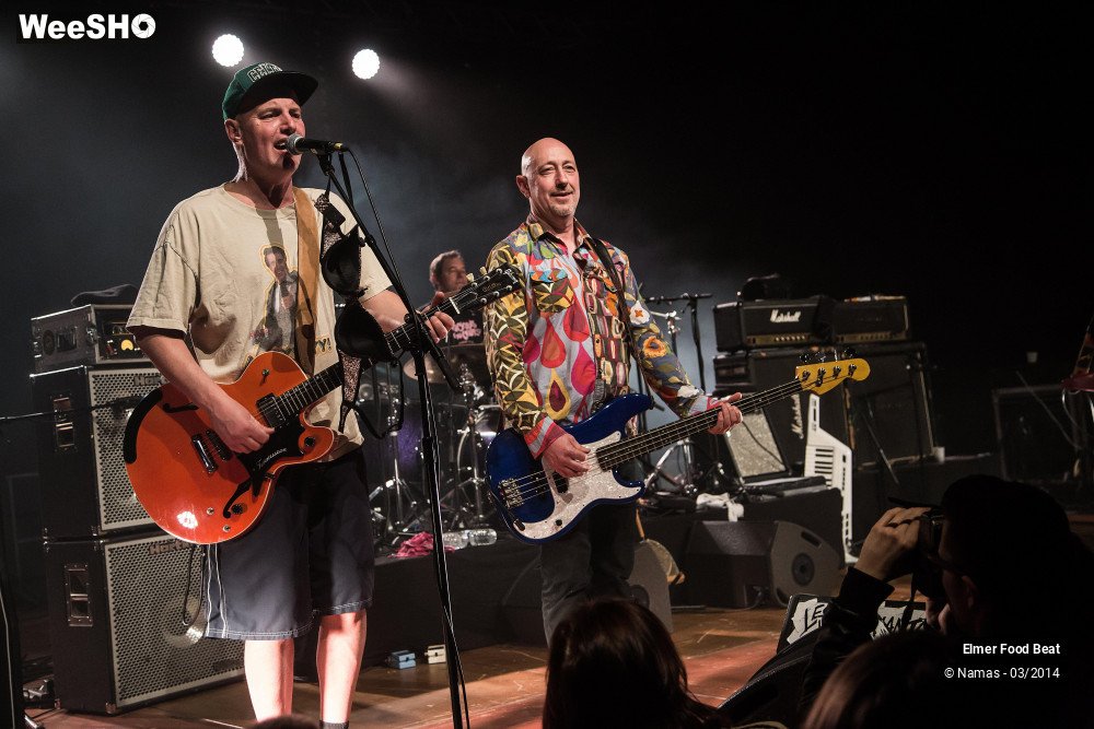 22/41 photos du spectacle Elmer Food Beat