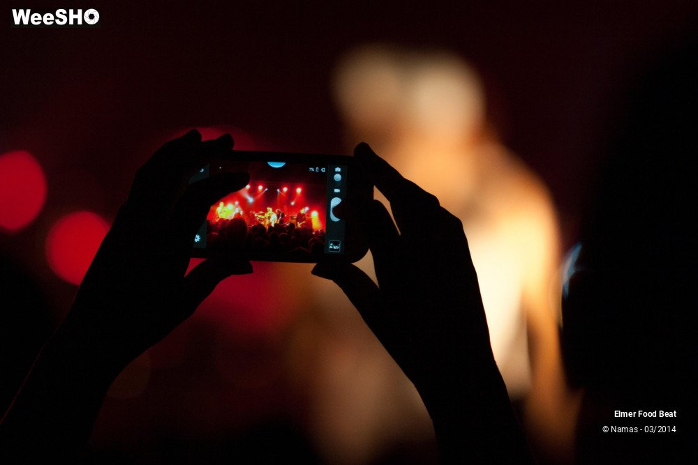 23/41 photos du spectacle Elmer Food Beat
