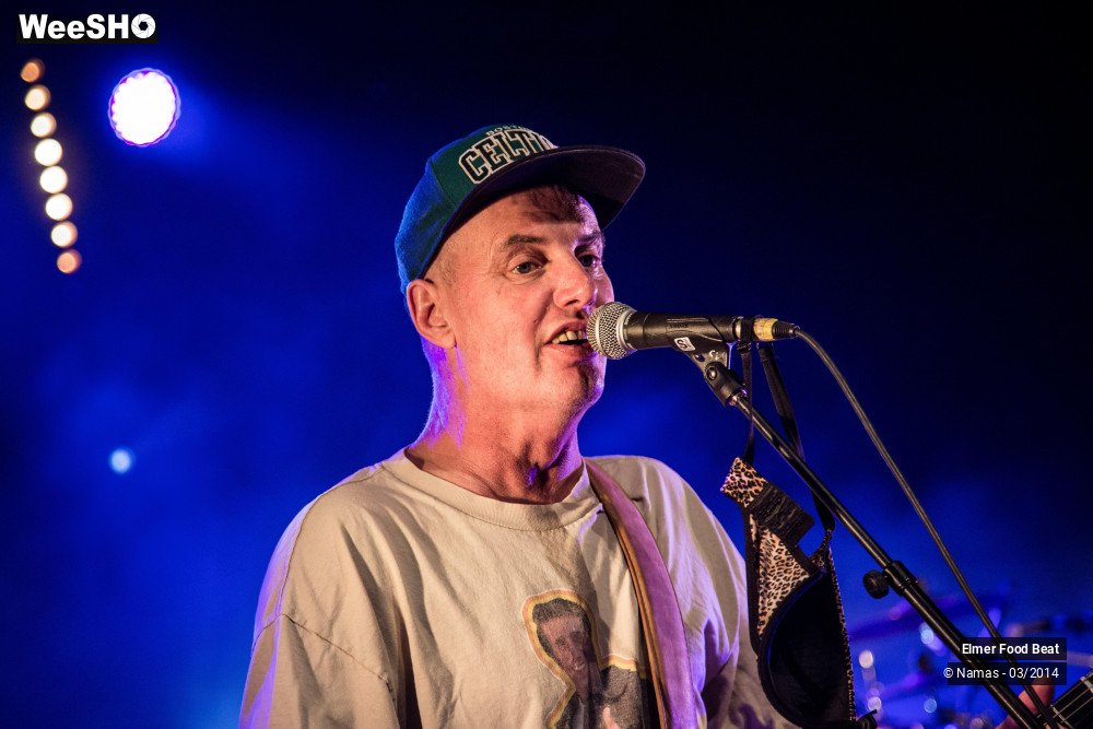 24/41 photos du spectacle Elmer Food Beat