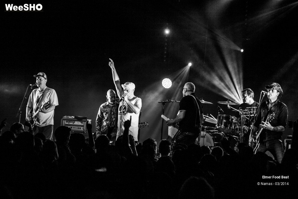 25/41 photos du spectacle Elmer Food Beat