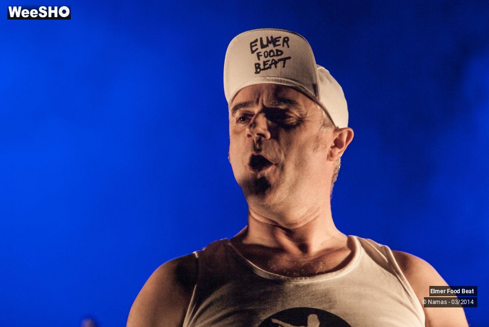 27/41 photos du spectacle Elmer Food Beat