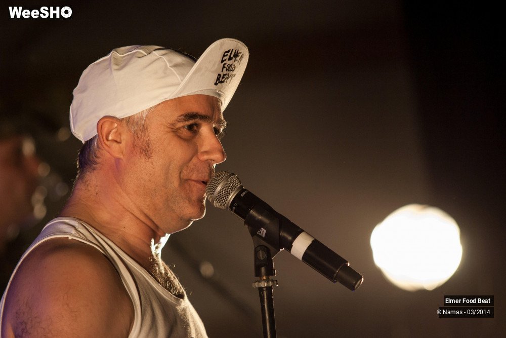 28/41 photos du spectacle Elmer Food Beat