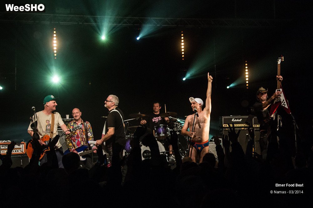 29/41 photos du spectacle Elmer Food Beat