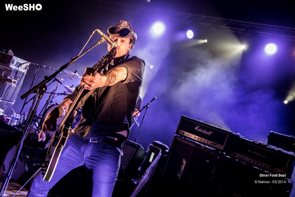 30/41 photos du spectacle Elmer Food Beat