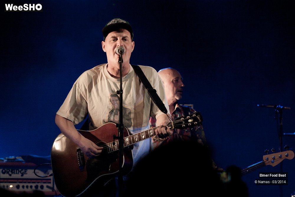 31/41 photos du spectacle Elmer Food Beat