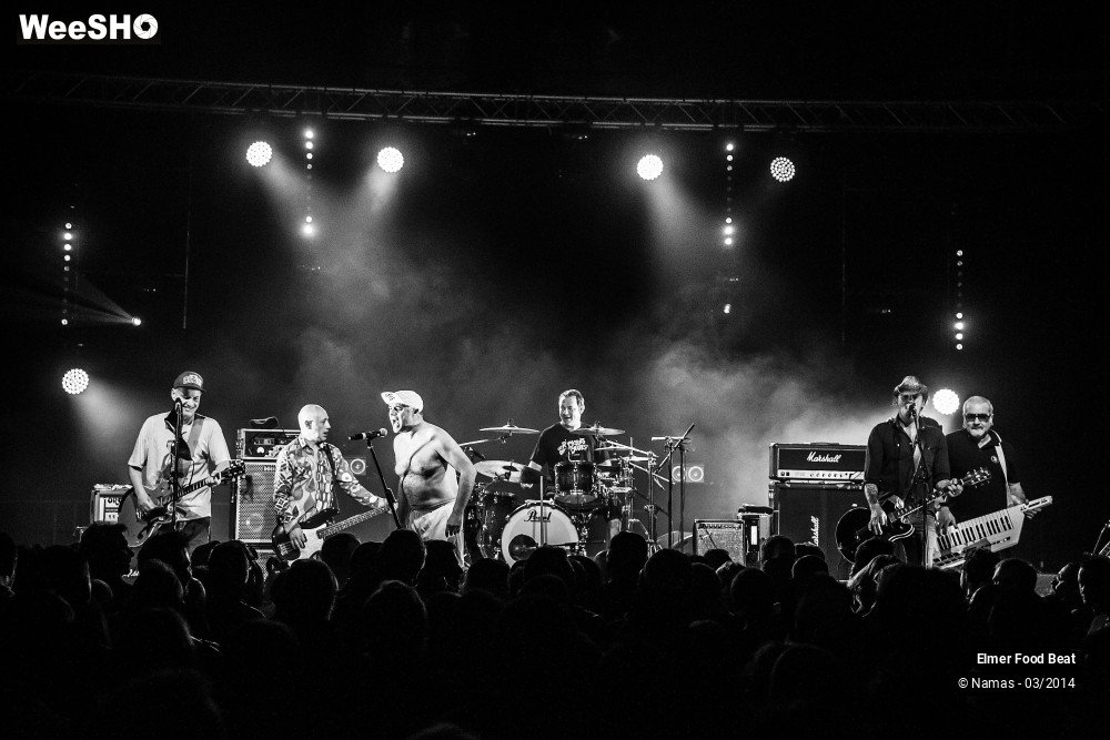 32/41 photos du spectacle Elmer Food Beat