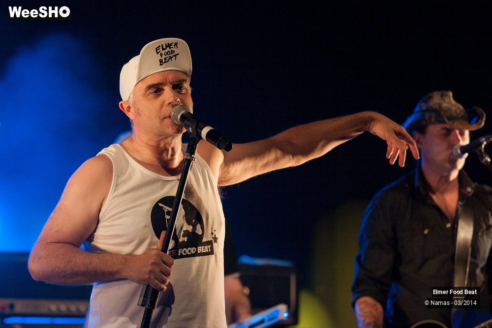 35/41 photos du spectacle Elmer Food Beat