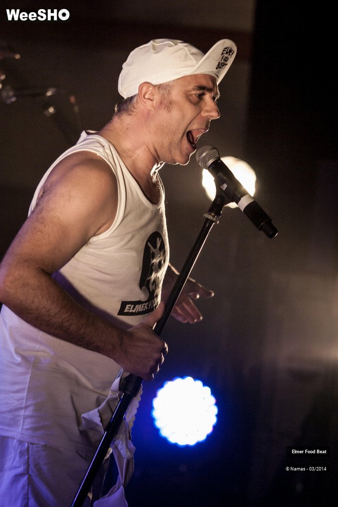 36/41 photos du spectacle Elmer Food Beat