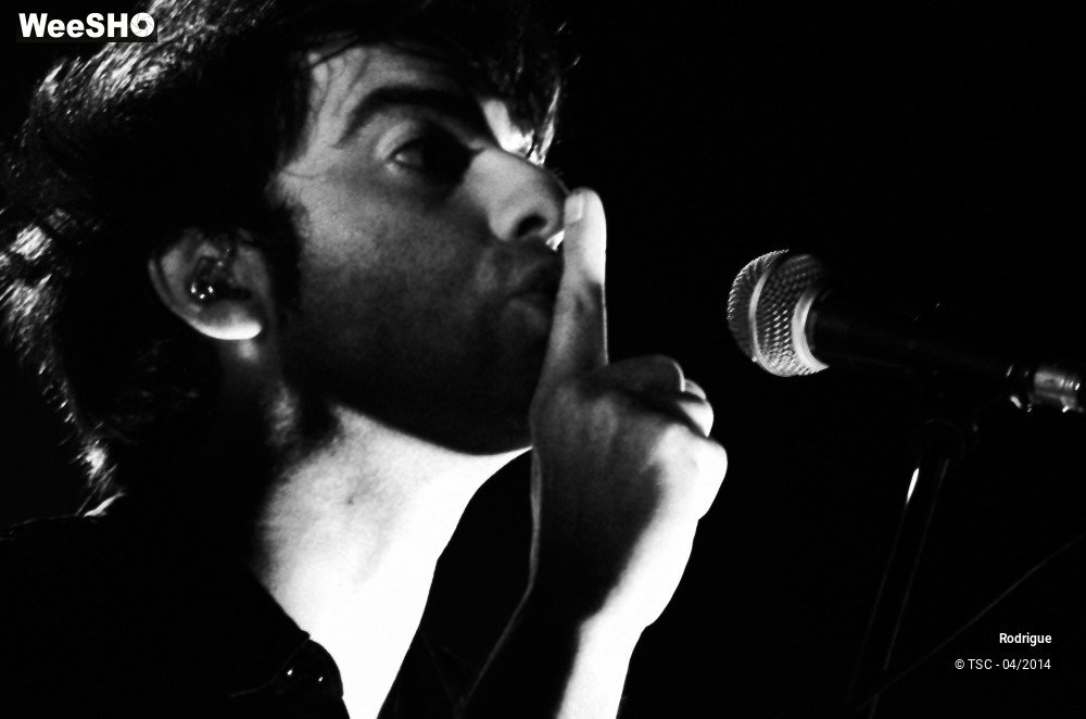 7/44 photos du spectacle Rodrigue