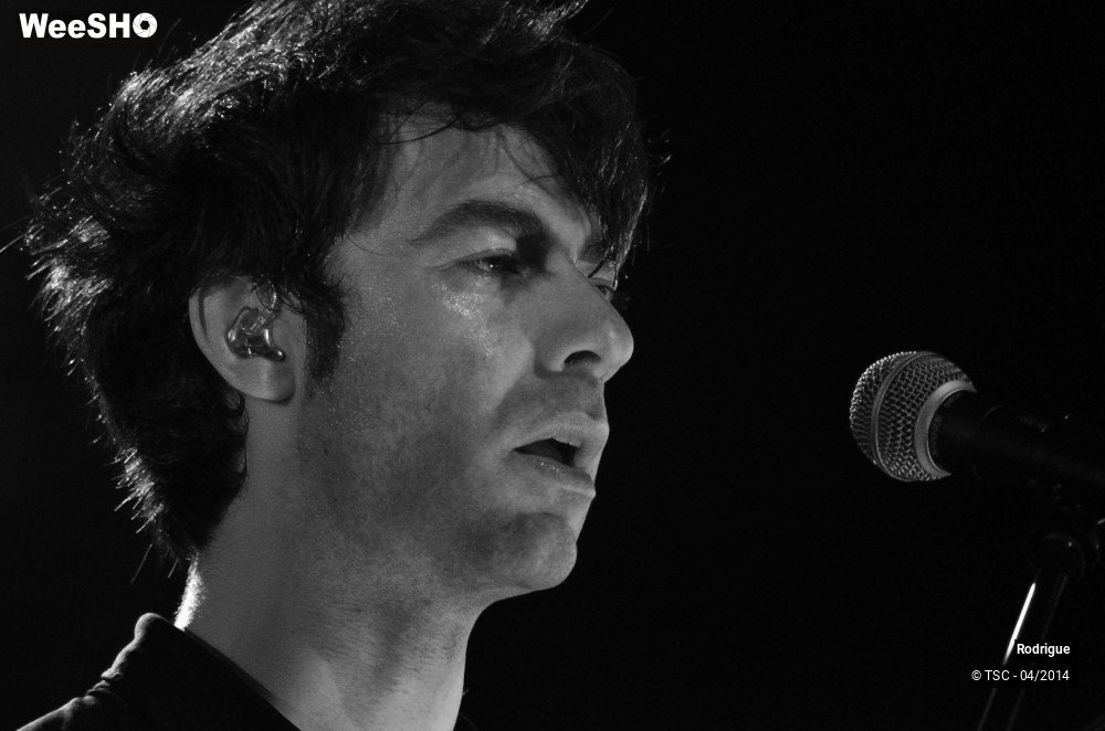 19/44 photos du spectacle Rodrigue