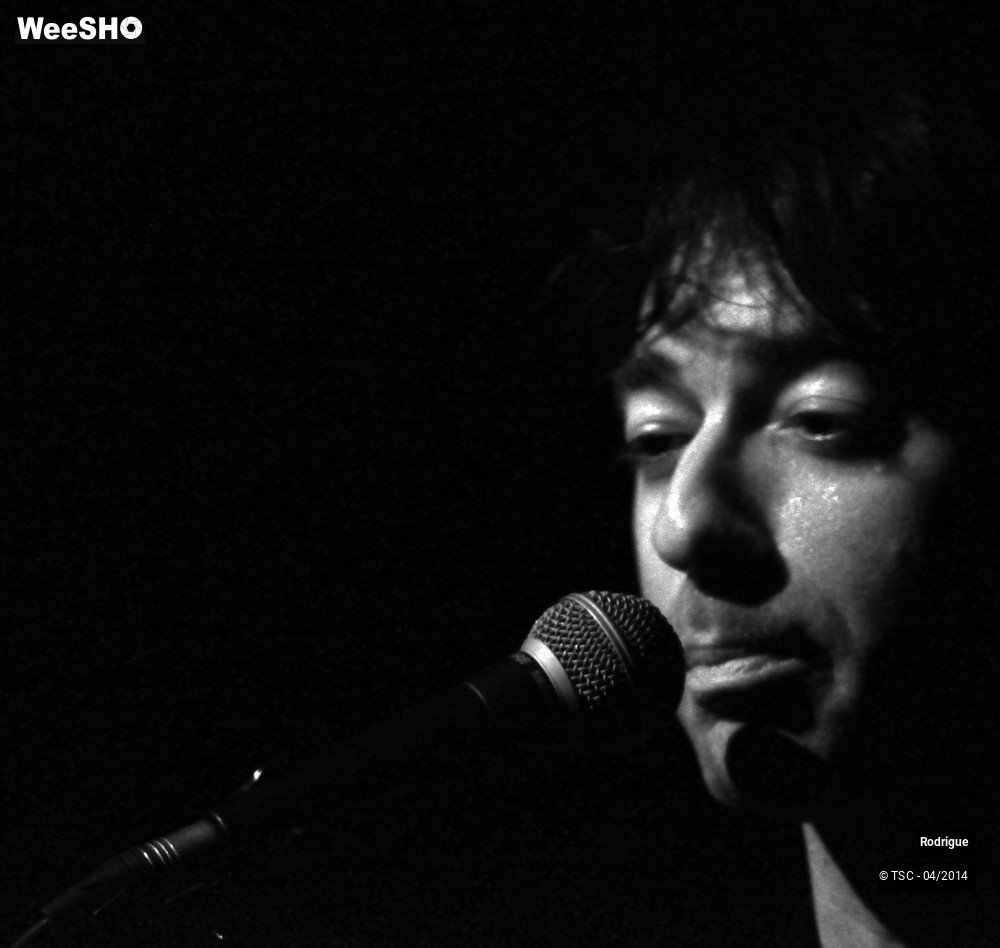 33/44 photos du spectacle Rodrigue