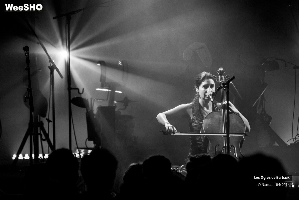 8/39 photos du spectacle Les Ogres de Barback