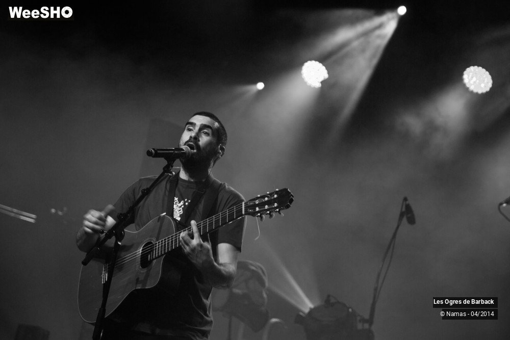 16/39 photos du spectacle Les Ogres de Barback