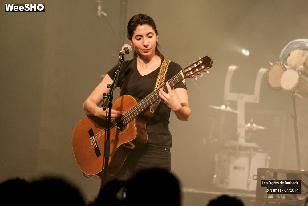 20/39 photos du spectacle Les Ogres de Barback