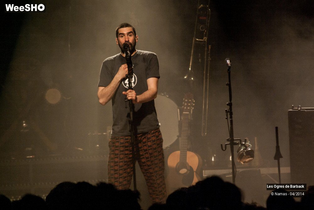 21/39 photos du spectacle Les Ogres de Barback
