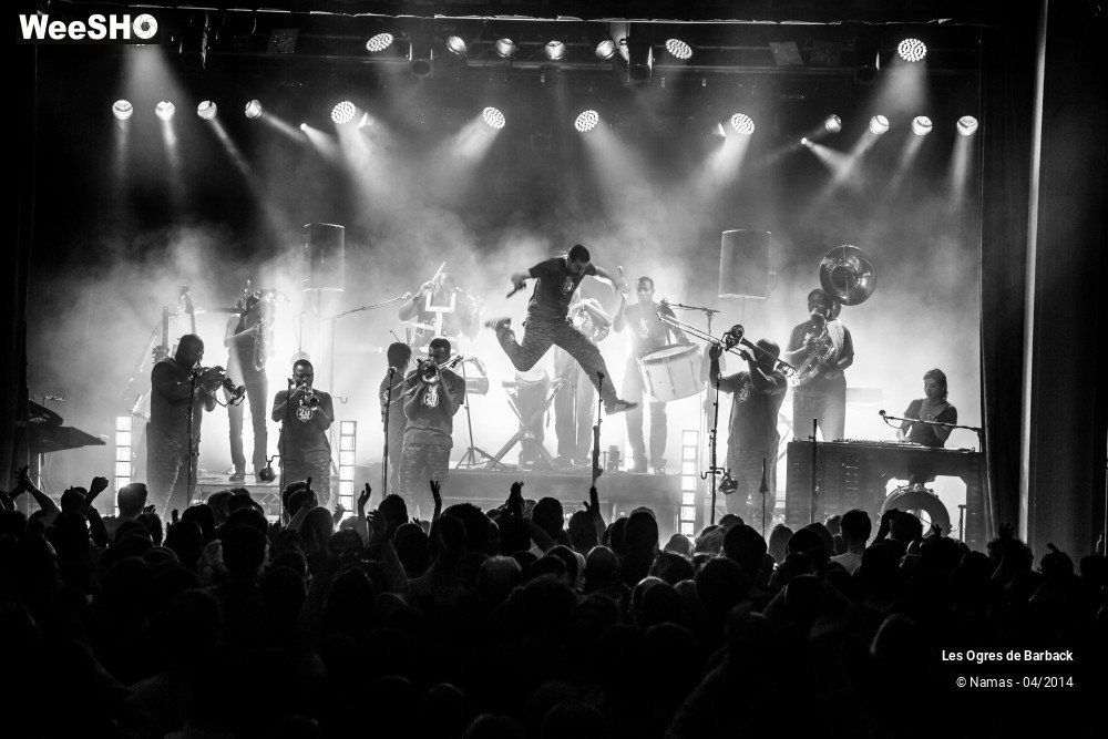22/39 photos du spectacle Les Ogres de Barback