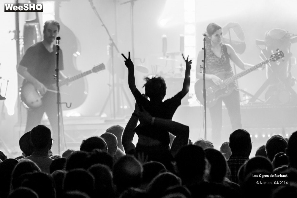 23/39 photos du spectacle Les Ogres de Barback