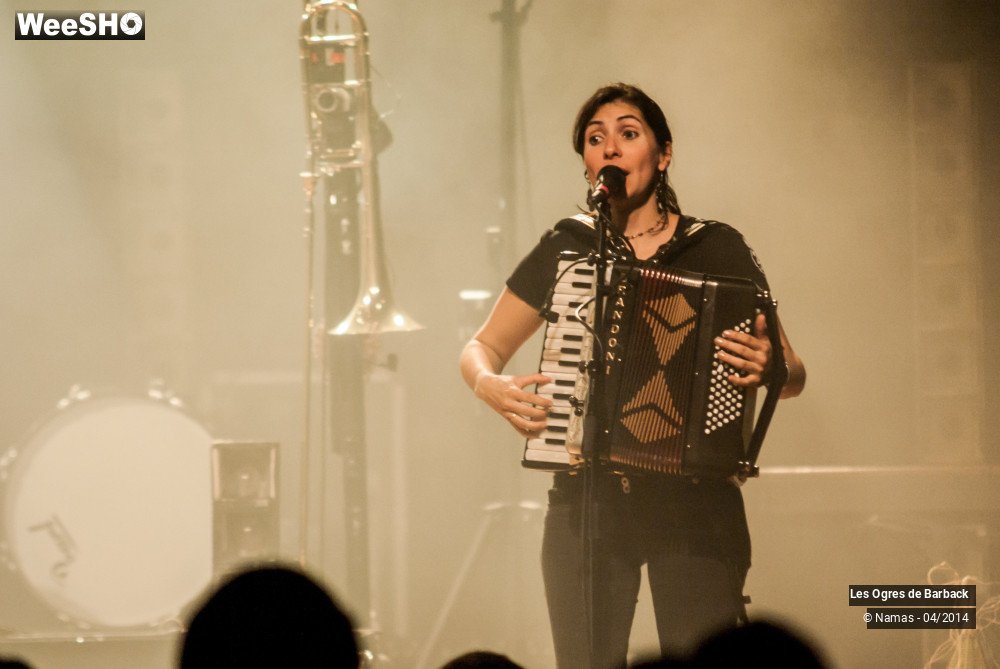 29/39 photos du spectacle Les Ogres de Barback