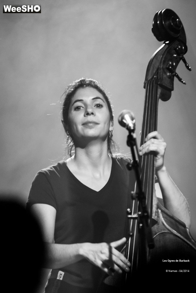 39/39 photos du spectacle Les Ogres de Barback