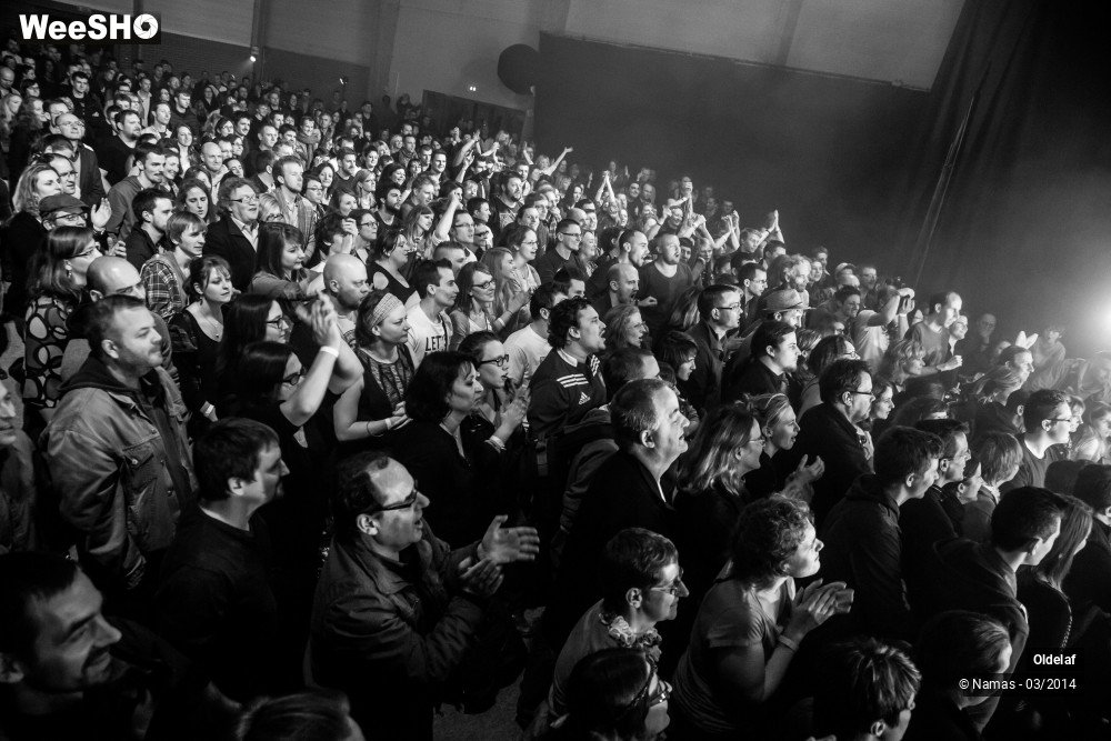 7/35 photos du spectacle Oldelaf
