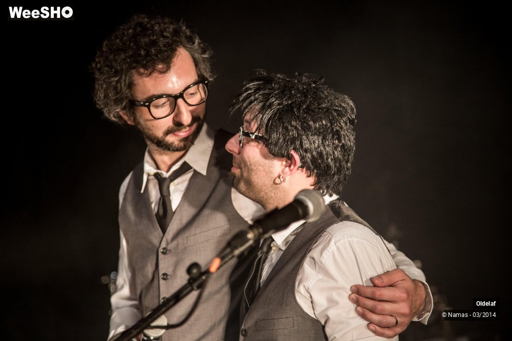 17/35 photos du spectacle Oldelaf