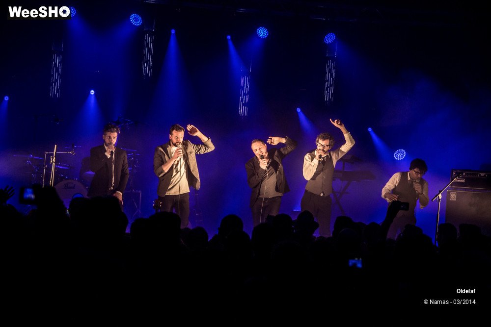 28/35 photos du spectacle Oldelaf