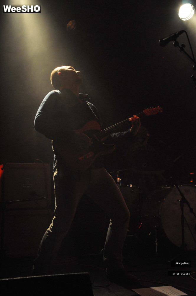 15/49 photos du spectacle Orange Buzz