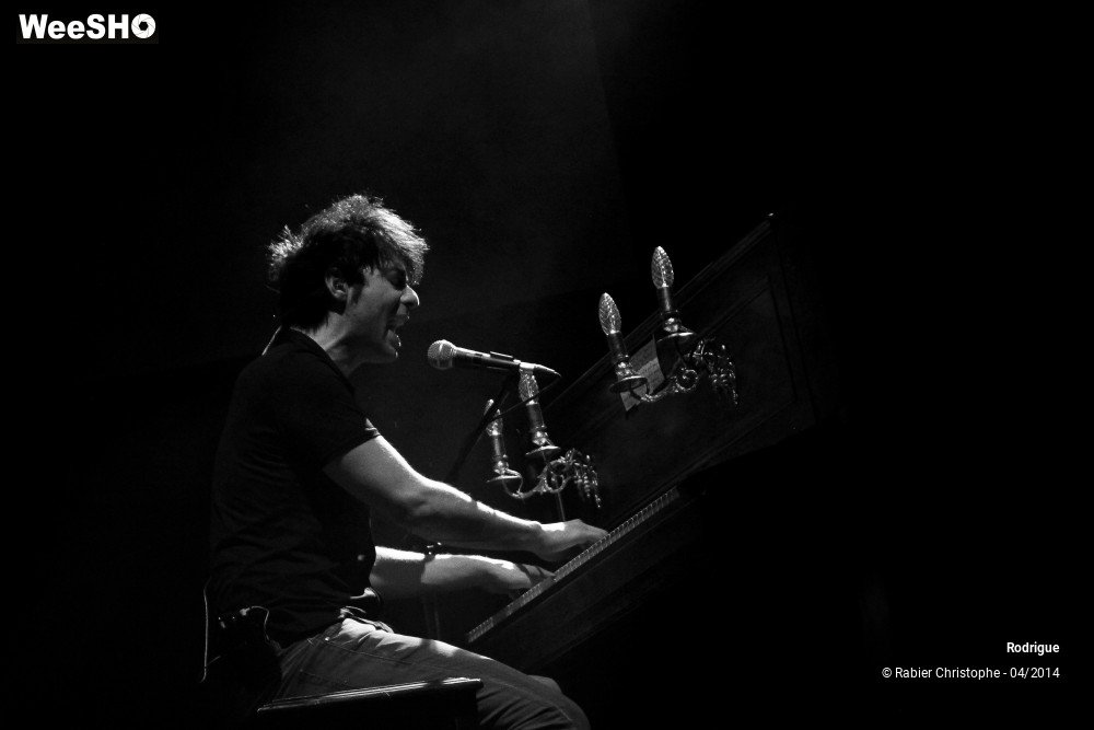 16/44 photos du spectacle Rodrigue