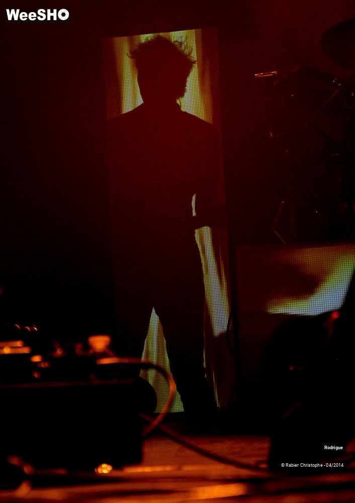 35/44 photos du spectacle Rodrigue