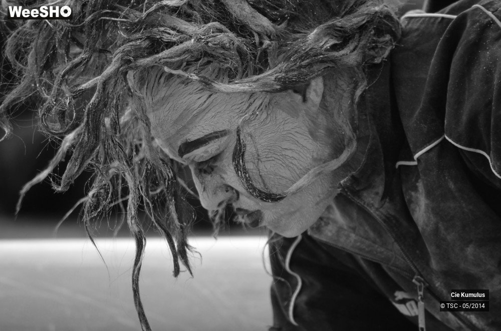 14/50 photos du spectacle Silence Encombrant