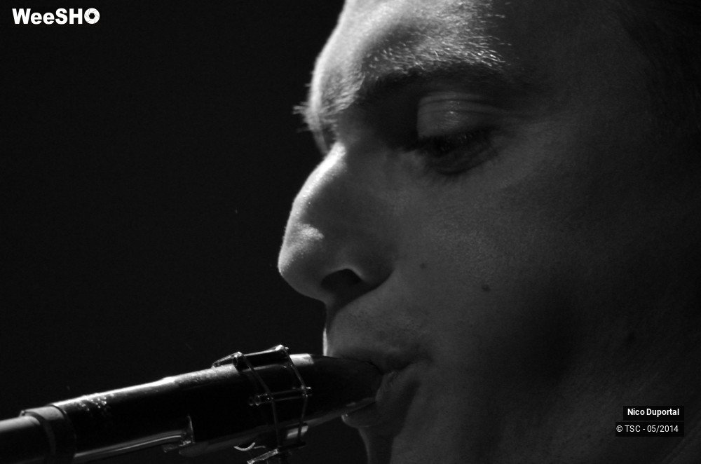 1/44 photos du spectacle Nico Duportal and his rhythm dudes