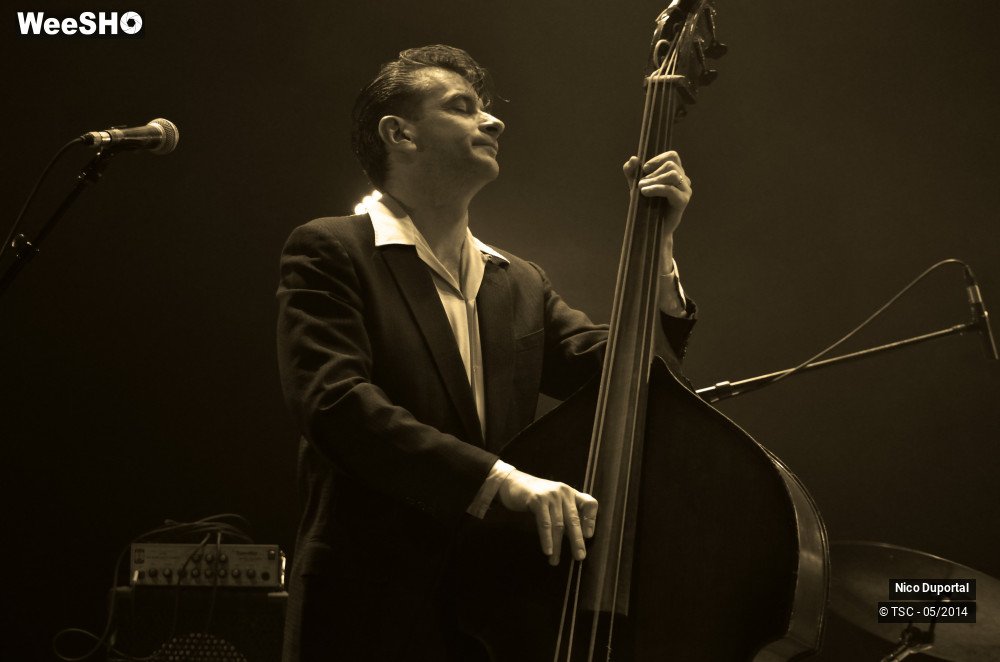 8/44 photos du spectacle Nico Duportal and his rhythm dudes