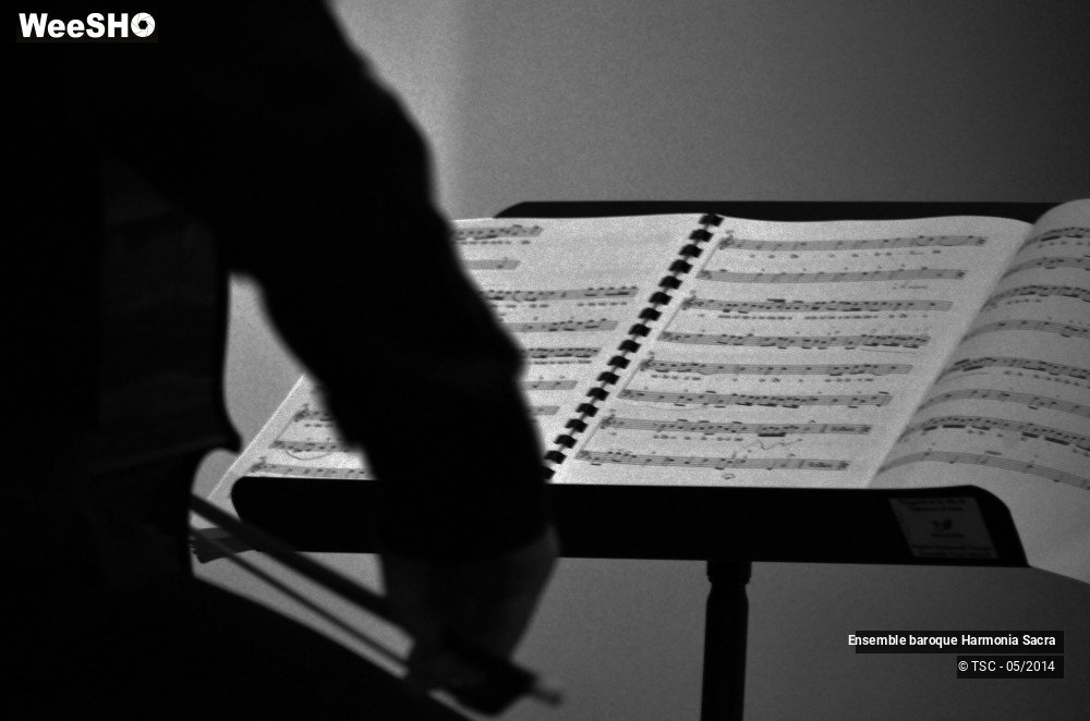 11/27 photos du spectacle Voix Sacrées et Sacrées Voix 