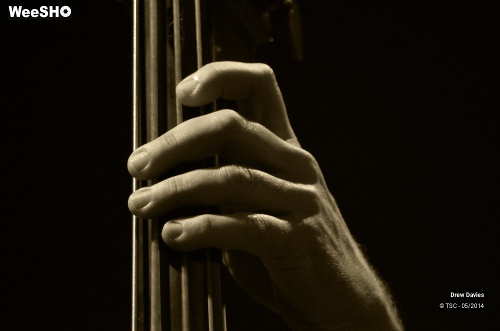 14/50 photos du spectacle Drew Davies Rhythm Combo