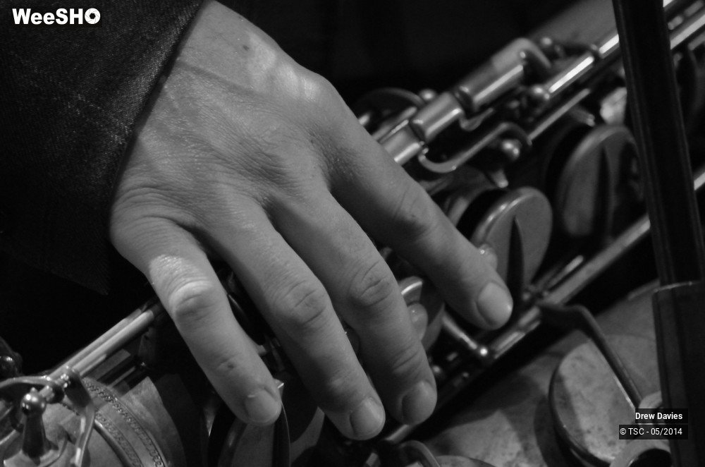 15/50 photos du spectacle Drew Davies Rhythm Combo