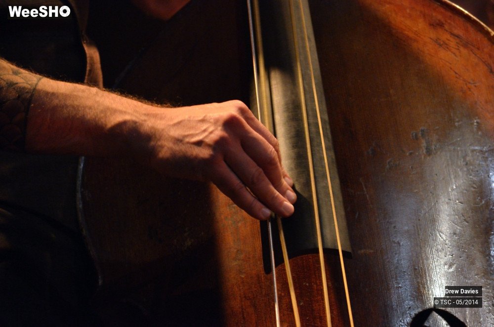 18/50 photos du spectacle Drew Davies Rhythm Combo