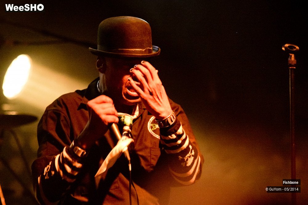1/50 photos du spectacle Fishbone