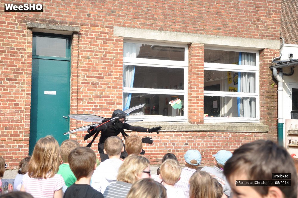 31/38 photos du spectacle The Alchimist
