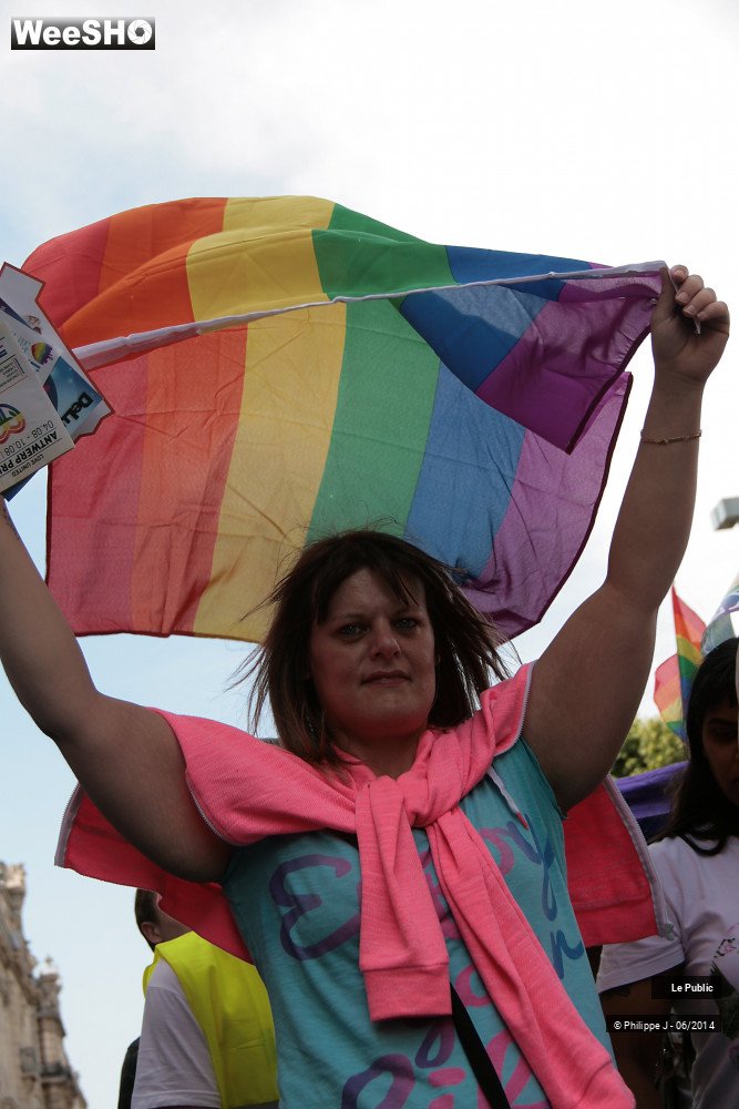 1/47 photos du spectacle Lesbian Gay Pride 2014