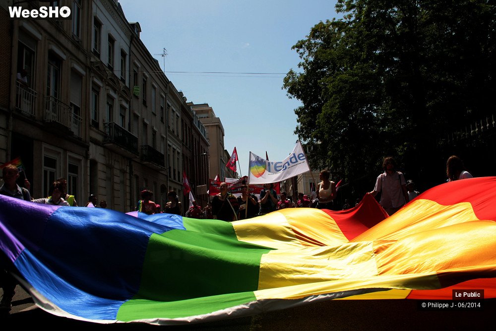 18/47 photos du spectacle Lesbian Gay Pride 2014