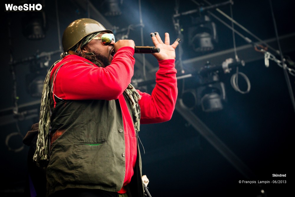 8/12 photos du spectacle Skindred