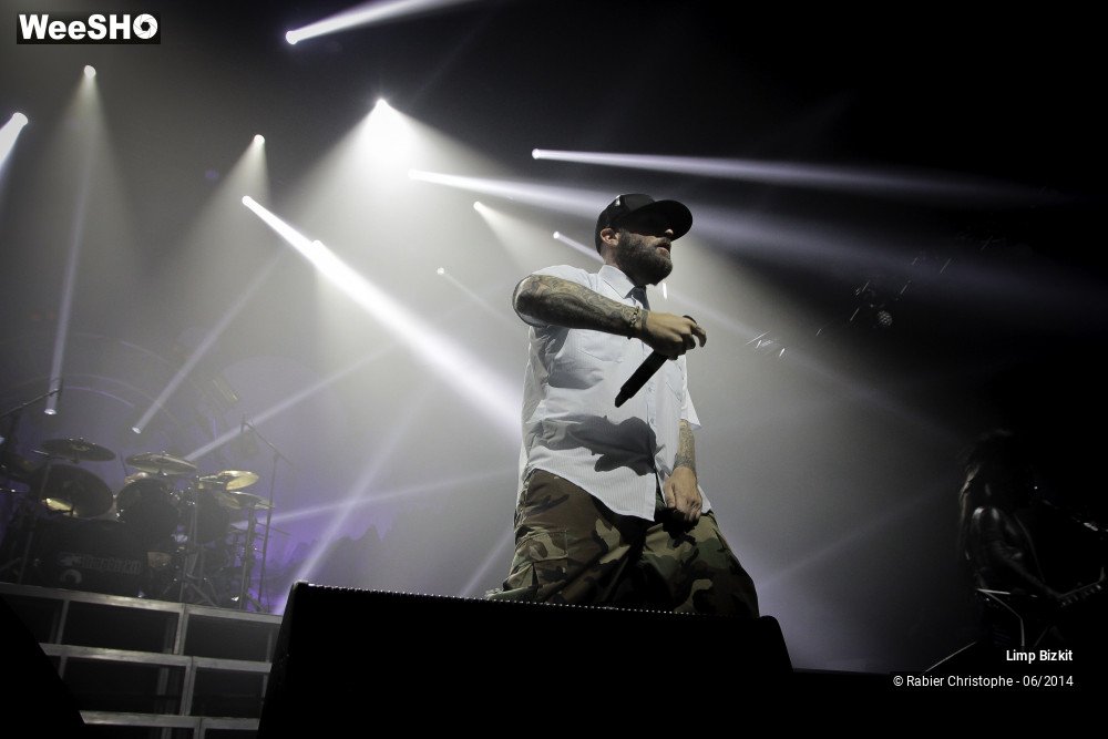3/25 photos du spectacle Limp Bizkit
